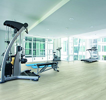 IVC Ultimo (DryBack) IVC Ultimo 24123Q фото 5 | FLOORDEALER